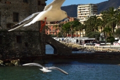 rapallo_001
