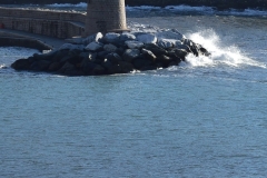recco_001