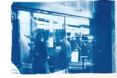 scannerCyanotype_20260513_0003