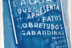 scannerCyanotype_Gabardinas_041